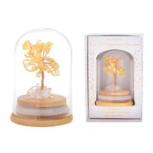 Eqlb Tree Happiness & Success
