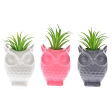 Owl Mini Pots (3)